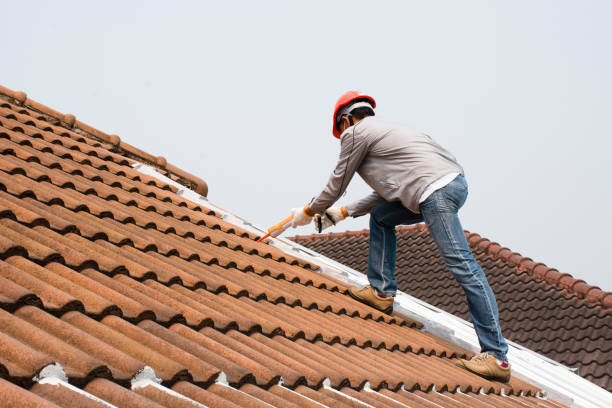 Best Tile Roofing Installation  in Paisley, FL