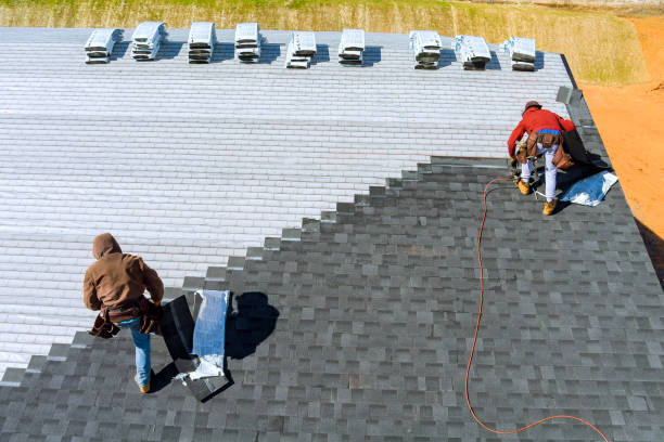 Best Storm Damage Roof Repair  in Paisley, FL